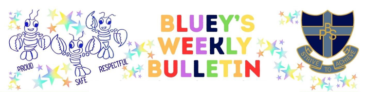 image containing Bluey's Weekly Bulletin text